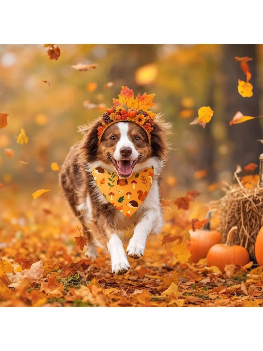 200 Pcs Fall Dog Bandanas Set | Autumn Leaf, Pumpkin & Acorn Designs